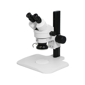Stereo Microscope